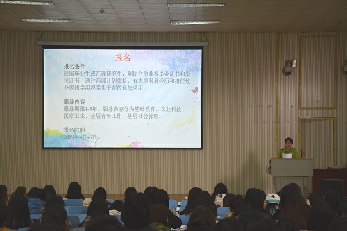 MK体育召开2019届毕业生就业指导会